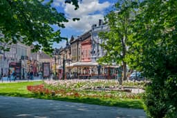 Novi Sad culture